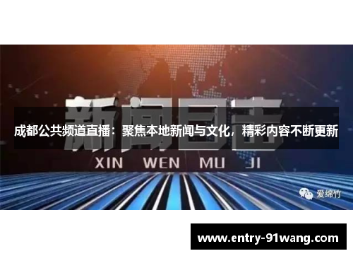 成都公共频道直播：聚焦本地新闻与文化，精彩内容不断更新